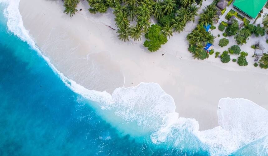 Guía cevichera de Lima