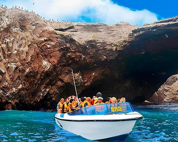 islas-ballestas-paracas-1